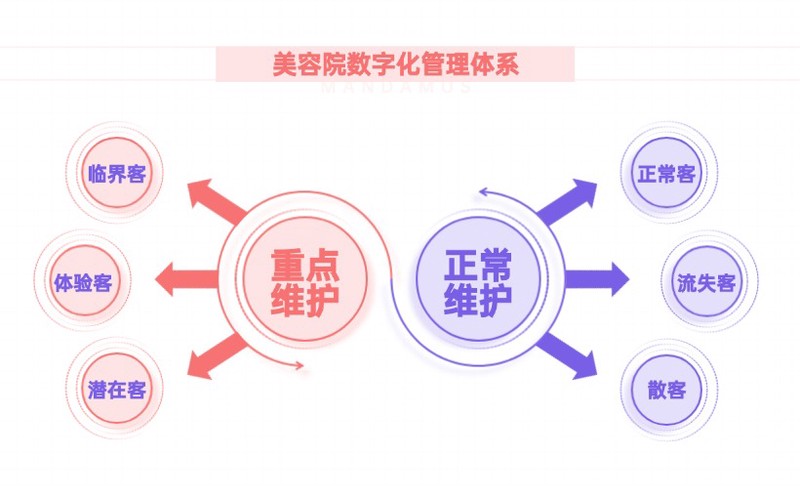 数字化 数字化